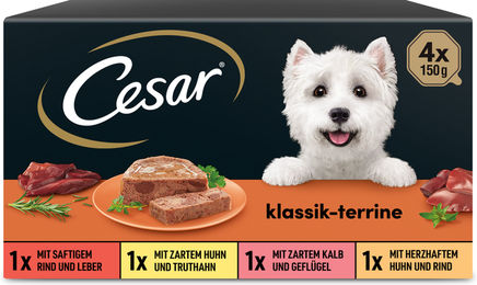 Produktbild von Cesar Klassiker Selektion Hundefutter Adult 600 g