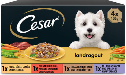 Cesar Landküche Vielfalt Hundefutter für Adult in Sauce 600 g - 4 x 150 g – Bild 1 von 3