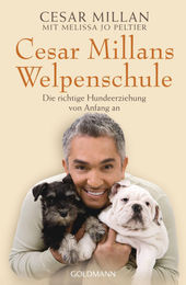 Cesar Millans Welpenschule: Die richtige Hundeerziehung für Welpen – Bild 1 von 1