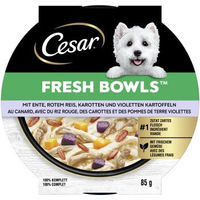 Produktbild von Cesar Nassfutter Hund Adult Ente und Huhn in Sauce 10x85 g