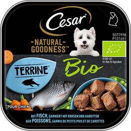 Produktbild von Cesar Natural Goodness Bio Hundepaté mit Fisch für erwachsene Hunde getreidefrei 16x100g - 16 x 100 g