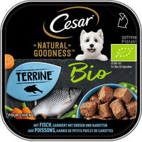 Produktbild von Cesar Natural Goodness Bio Hundepaté mit Fisch für erwachsene Hunde getreidefrei 16x100g - 16 x 100 g