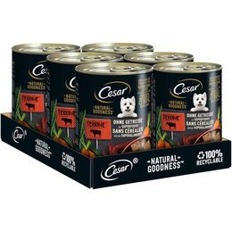 Produktbild von Cesar Natural Goodness Hundefutter mit Rind 6x400g