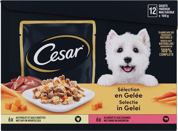 Cesar Selection Hundefutter Stückchen in Gelee Huhn und Rind 12 x 100 g – Bild 1 von 4