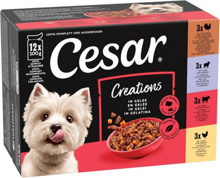 Cesar Selektion Hundefutter Stückchen in Gelee Huhn und Rind Adult 48 x 100 g – Bild 1 von 1