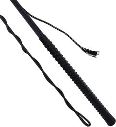 Produktbild von Chambrière York Shine Longierband aus Nylon in Schwarz