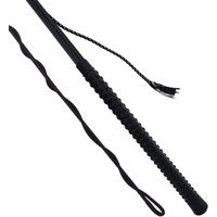 Produktbild von Chambrière York Shine Longierband aus Nylon in Schwarz