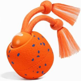CHEERBLE Wicked Ball Rolly-Bright Hundespielzeug aus Gummi Orange für Welpen – Bild 1 von 3