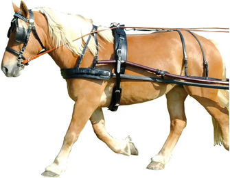 Chetak Euro Synthetisches Hundegeschirr – Bild 1 von 1