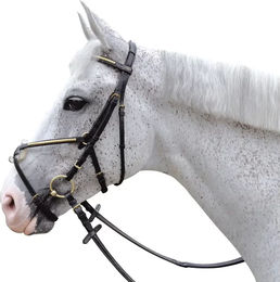 Produktbild von Chetak Zaumzeug Clencher Croisé für Ponys in Schwarz aus Gummi