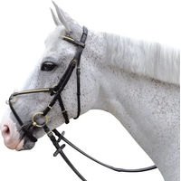 Produktbild von Chetak Zaumzeug Clencher Croisé für Ponys in Schwarz aus Gummi