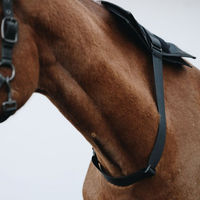 Produktbild von Cheval LED Verstellbares Band Schwarz