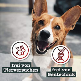Chewies Naturkauartikel Rothirsch-Geweihstange XL für Hunde monoproteinisch und ohne Farb- oder Aromastoffe - 250 g – Bild 1 von 6