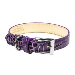 Chiccheria Hunde-Halsband aus Leder in Lila mit Kroko-Optik 32-40 cm – Bild 1 von 4