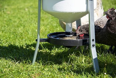 CHICK'A Automatische Geflügeltränke aus Kunststoff für Hühner und Enten 24L Weiß - 24 l – Bild 1 von 8