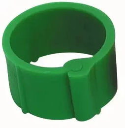 Produktbild von Chick'A Clip-Ring für Hühner 12 mm Grün aus Kunststoff