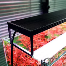 Produktbild von Chihiros Nicht verstellbare Halterung für WRGB 2 Pro in Schwarz oder Transparent