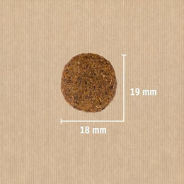 Christopherus Trockenfutter für erwachsene Hunde mittlerer Rassen Geflügel und Lamm glutenfrei 12 kg - 12 kg – Bild 1 von 5