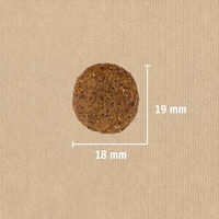 Produktbild von Christopherus Trockenfutter für erwachsene Hunde mittlerer Rassen Geflügel und Lamm glutenfrei 12 kg - 12 kg