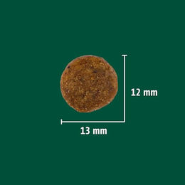 Christopherus Vegetarian Trockenfutter für erwachsene Hunde Erbse Tapioka und Kürbis getreidefrei 8 kg - 8 kg – Bild 1 von 7
