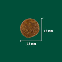 Produktbild von Christopherus Vegetarian Trockenfutter für erwachsene Hunde Erbse Tapioka und Kürbis getreidefrei 8 kg - 8 kg