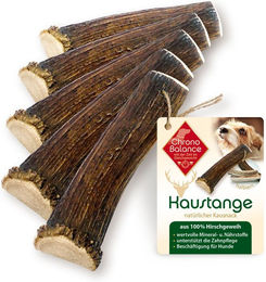 ChronoBalance Hirschgeweih für Hunde XL 5er Set halbierte Stücke natürliche Kauspielzeuge ohne Farb- und Aromastoffe sowie Konservierungsstoffe - 5 x 600 g – Bild 1 von 11