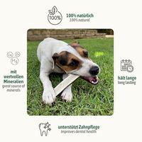Produktbild von ChronoBalance Hirschgeweih Kauspielzeug für Hunde Größe L 2er Set Natürliche Kauartikel ohne Farb- und Aromastoffe