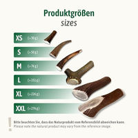 Produktbild von ChronoBalance Kaustange für Hunde aus 100% Hirschgeweih als natürlicher Kausnack zur Zahnpflege ohne Zusätze