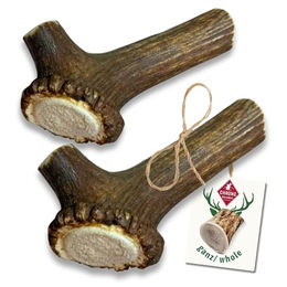 ChronoBalance L Geweih-Kaustange für Hunde 2er Set aus Hirschgeweih Natürlicher Kausnack zur Zahnpflege ohne Zusätze - 2 x 1 Stk. – Bild 1 von 5