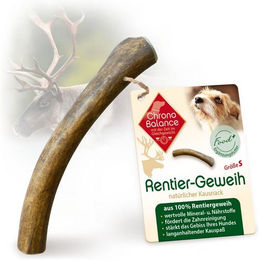 Produktbild von ChronoBalance Rentier Geweih Naturkauartikel für Hunde monoproteinisch ohne Farb- und Aromastoffe