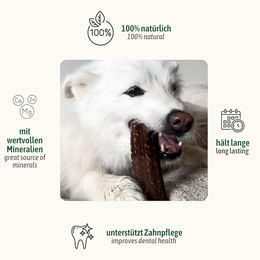 ChronoBalance XL Kaustange für Hunde aus 100% Hirschgeweih 2er Set Natürlicher Kausnack zur Zahnpflege ohne Zusätze - 2 x 1 Stk. – Bild 1 von 5