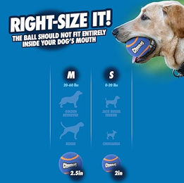 Chuckit! Hundespielzeug Ball aus Naturkautschuk XL Blau für Riesenrassen waterproof – Bild 1 von 3