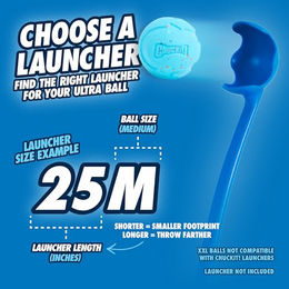 Chuckit! Hundespielzeug Rebounce Ball aus Gummi Medium Blau 2er Pack – Bild 1 von 3