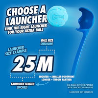 Produktbild von Chuckit! Hundespielzeug Rebounce Ball aus Gummi Medium Blau 2er Pack