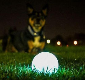 Chuckit! Max Glow Hundespielzeug Ball aus Gummi Medium 2er Pack – Bild 1 von 11