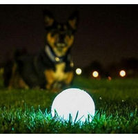 Produktbild von Chuckit! Max Glow Hundespielzeug Ball aus Gummi Medium 2er Pack