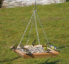 Produktbild von CJ Wildlife Bodenfutterstation für Vögel aus Holz in Braun