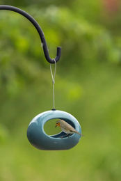 CJ Wildlife Hängende Wasserschale Selo Vogeltränke aus Keramik Blau – Bild 1 von 2