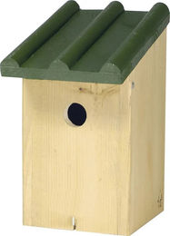 CJ Wildlife Meisenkasten Toronto aus Holz grün/natur – Bild 1 von 2