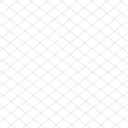 Produktbild von Clanmacy Katzennetz aus Nylon als Gartenschutz und Balkonnetz 3x8m in Weiß oder Transparent