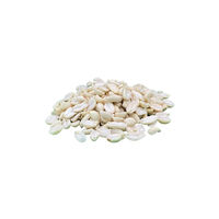 Produktbild von Classic Bird Erdnusskerne blanchiert als Futter für Wildvögel und Nagetiere 25 kg - 25 kg