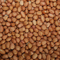 Produktbild von Classic Bird Erdnusskerne Light Skin Snack für Wildvögel 25 kg - 25 kg