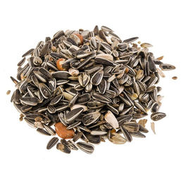 Classic Bird Meisenfutter Ergänzungsfutter für Wildvögel ganzjährig - 10 x 1 kg – Bild 1 von 3