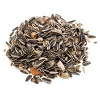 Produktbild von Classic Bird Meisenfutter Ergänzungsfutter für Wildvögel ganzjährig - 10 x 1 kg