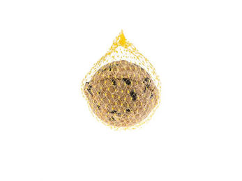 Classic Bird Meisenknödel für Wildvögel auf Tablett - 16 x 6 Stk. – Bild 1 von 2