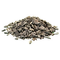 Produktbild von Classic Bird Sonnenblumenkerne gestreift für Wildvögel und Tauben 25 kg - 25 kg