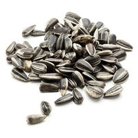 Produktbild von Classic Bird Sonnenblumenkerne gestreift Vogelfutter für Wildvögel und Tauben 2,5 kg - 4 x 2,5 kg
