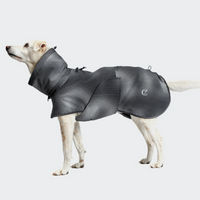 Produktbild von Cloud7 Hunde Regenmantel Aktiv Black Größe 4 Regular