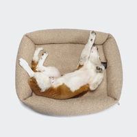 Produktbild von Cloud7 Hundebett Sleepy Deluxe Curl Cream Beige Größe M