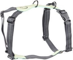 Produktbild von Cloud7 Hundegeschirr Madeira mint Leder Y-Geschirr Grösse XXL